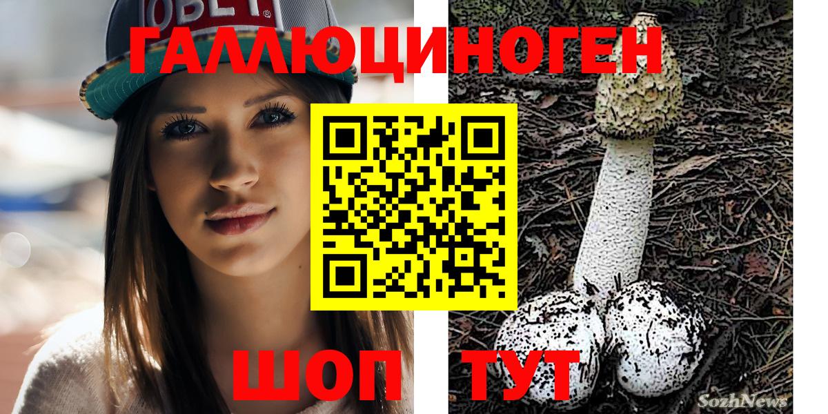 Псилоцибиновые грибы GOLDEN TEACHER  где купить наркоту  Жигулёвск 