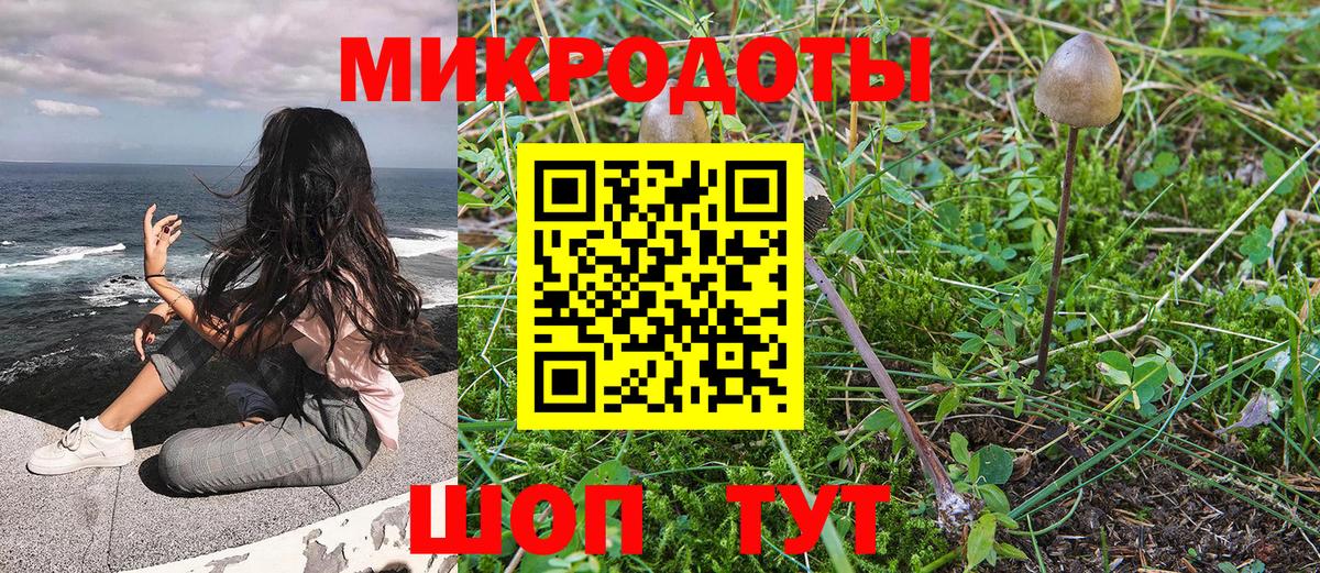 Псилоцибиновые грибы Cubensis Жигулёвск