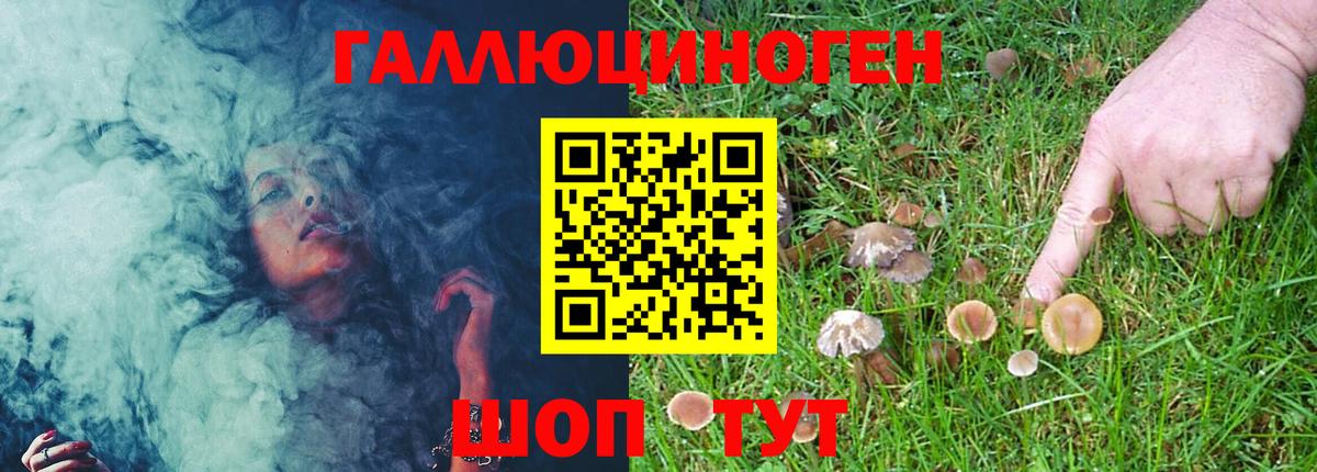 Псилоцибиновые грибы MAGIC MUSHROOMS Жигулёвск